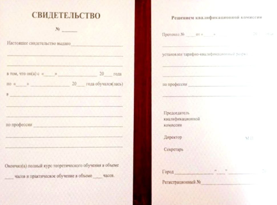 Свидетельство о профессии гособразца - Школа Основа